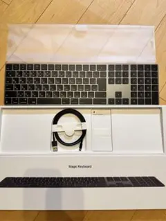 Apple Magic Keyboard with Numeric Keypad