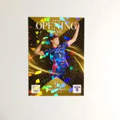 PFUブルーキャッツ トレーディングカード 川添美優選手