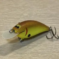フラットシャッドベイツ　リトルBのサムネイル
