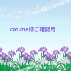 Classic!SpiderWebナンバーエイト ターコイズ カボション ルース