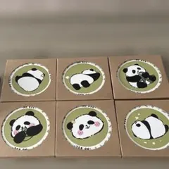 陶器製　パンダ絵柄コースター６枚セット