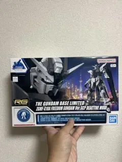RG 1/144 フリーダムガンダム Ver.GCP ディアクティブモード - メルカリ