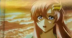 ガンダムSEED FREEDOM コマフィルム ラクス 海岸