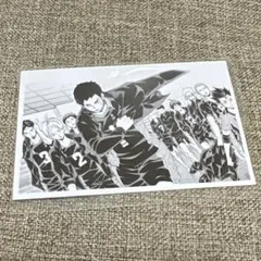 ハイキュー 10th クロニクル 思い出スナップフォトカード 烏野 集合