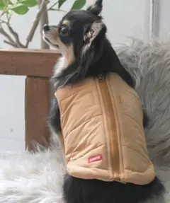 エドウィン　EDWIN スムースタッチベスト　4L 防寒　犬服　ダウンのサムネイル