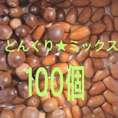 どんぐり★ミックス100個