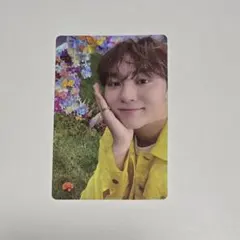 seventeen sector17 スングァン トレカ