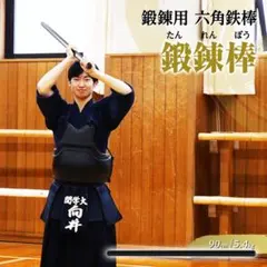 949 鍛錬棒 振り棒 四尺 120cm 7.2kg 素振刀 振棒 六角鉄棒 - メルカリ