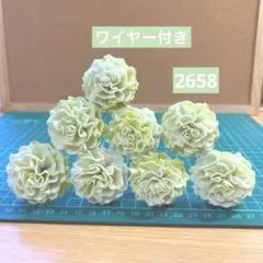 ソラフラワー　2658