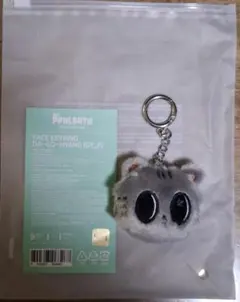 TXT テヒョン プルバトゥ　フェイスキーリング　ダゴニャン