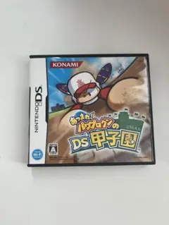 パワプロクンのDS甲子園