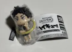 ハイキュー‼︎ こんにち輪 赤葦京治