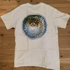 Supreme フグ グラフィック TシャツシュプリームBlowfishTee