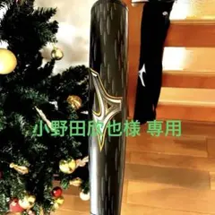 Item thumbnail for item d9e82bdc-dfaa-4be1-a7bc-2439f7cb92df