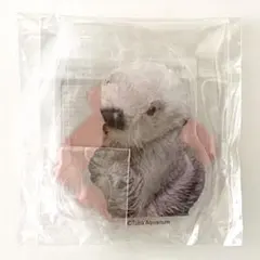 カプくじ D賞 メイちゃん ペンスタンド ひょっこり