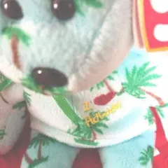ゆっぴー様御専用HAWAII、Guam購入 tyぬいぐるみ