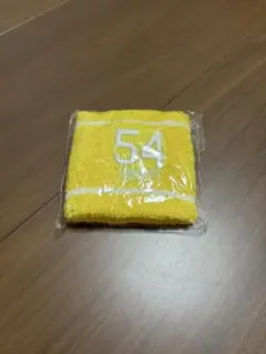 藤嶋健人 リストバンド ガチャ