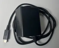 Nintendo 純正 Switch用 USB-C ACアダプター