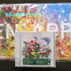 Mrs. GREEN APPLE MGA MAGICAL 10 YEAR