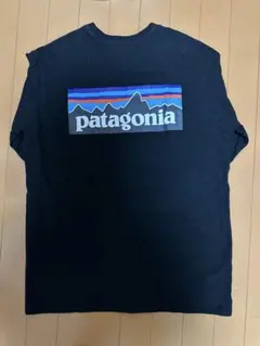 パタゴニア Tシャツ