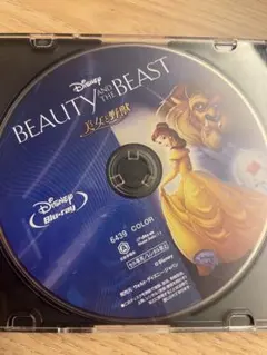 ディズニー Blu-ray 美女と野獣 ベイマックス