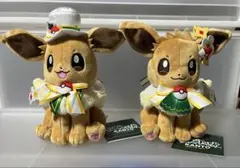 ポケモン ポケパーク カントー ぬいぐるみ ピカチュウ 2種セット 限定