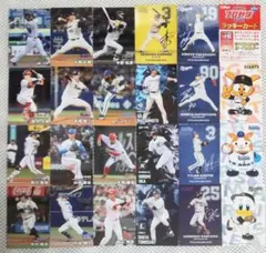 プロ野球選手カード 2025年 カルビー 24枚 ( ラッキーカード 含)