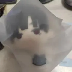 エイリアンステージ ぬいぐるみフィギュア ヒトデ イヴァン ティル エイステ