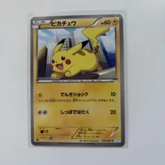 シュークリーム★様 リクエスト 2点 まとめ商品