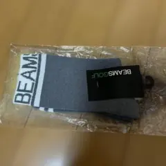 BEAMS GOLF レディースウェア