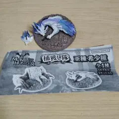 2026年最新】タマミツネ希少種の人気アイテム - メルカリ