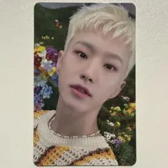 ‪♥‬ SEVENTEEN ホシ トレカ 2026年最新】seventeen ホシ トレカ sector17の人気アイテム - メルカリ