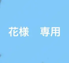 限定品　Nintendo 2DS クリアレッド 本体