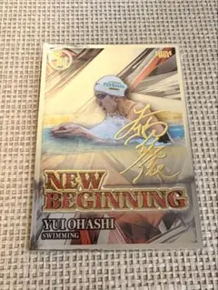 Item thumbnail for item 8ac63209-1226-4f59-a36b-5453cd6567b8