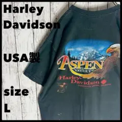 雰囲気抜群USA製 ハーレーダビッドソン Tシャツ アスペン イーグル a2