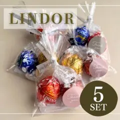断捨離中☺︎様リンドールギフト5セット