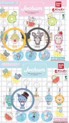 【未開封】JOCHUM めじるしアクセサリー