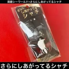 【新品】さらにしあがってるシャチ　須磨シーワールド　岩本照　スノーマン