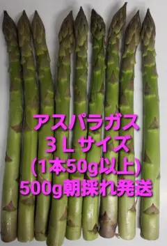 アスパラ３Ｌ(1本50g以上)500gのサムネイル