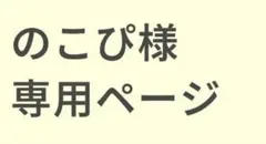 のこぴ様専用ページ　完成