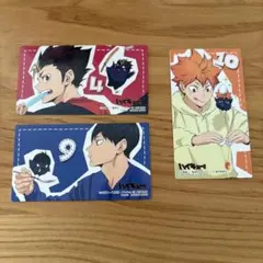 ハイキュー アニメイト購入特典 3点セット