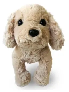 Item thumbnail for item 1b5f18bc-957e-46e7-9930-1653581603eb