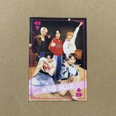 WILD BLUE JUNON イケメントランプ