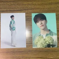 SEVENTEEN ディノ HANABI トレカ