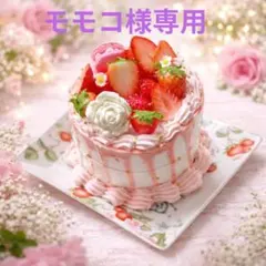 フェイクケーキ　モモコ様専用