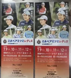 北海道新聞カップ 入場券 2枚セットのサムネイル