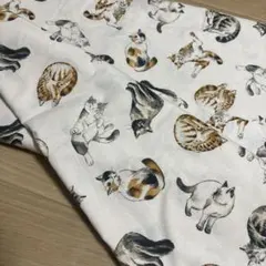 生地　猫　シーチング