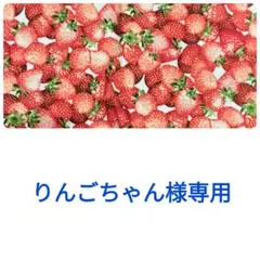 りんごちゃん様専用