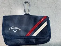 Item thumbnail for item d2b7c954-3e69-4d58-8153-c9f5a77e392f