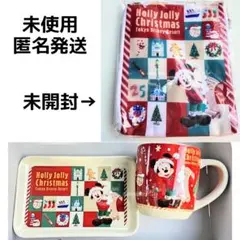 ディズニー クリスマス スーベニア 2025 3点セット